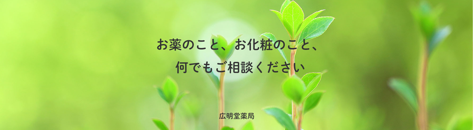 大月市大月、処方せん調剤、医薬品販売、化粧品販売